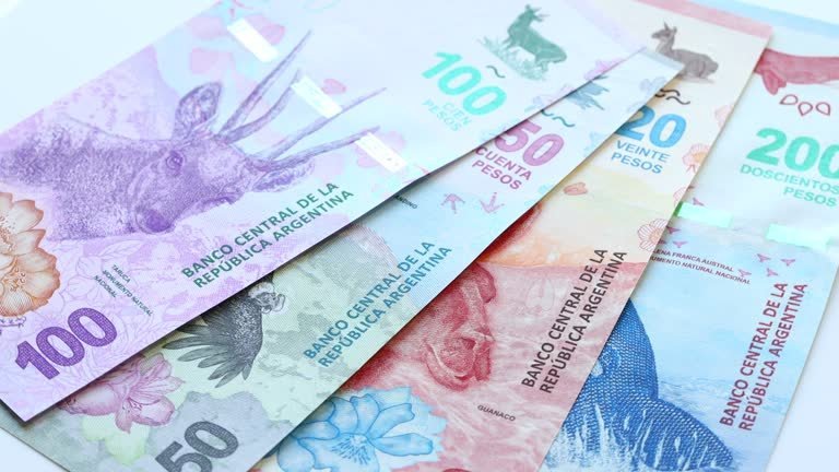 Argentina Stock Market Guide: How Beginners Can Invest in Shares