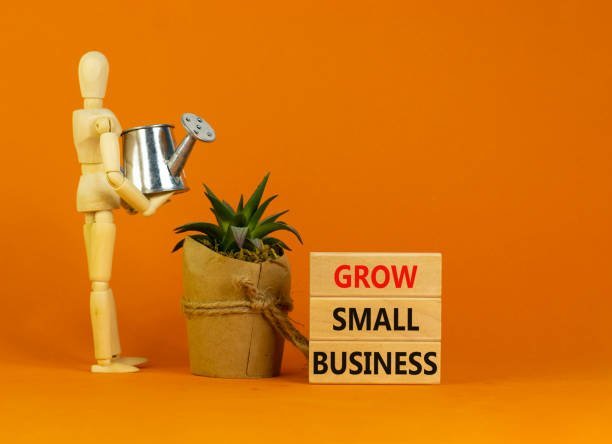 How Beginners Can Start Investing Stocks